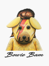 Indlæs billede til gallerivisning Bam Bowi Hoodie